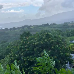  Chalet Mango